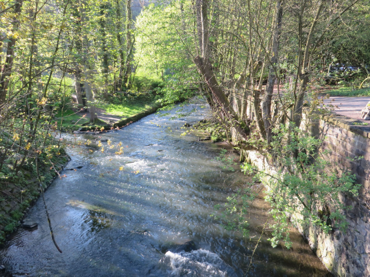 Einmündung des Mettmanner Baches in die Düssel