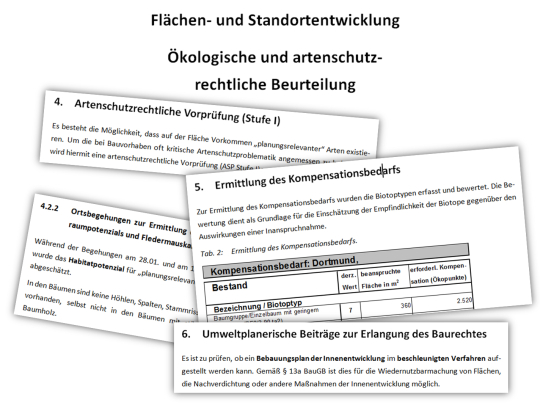 Ökologische und artenschutzrechtliche Beurteilung