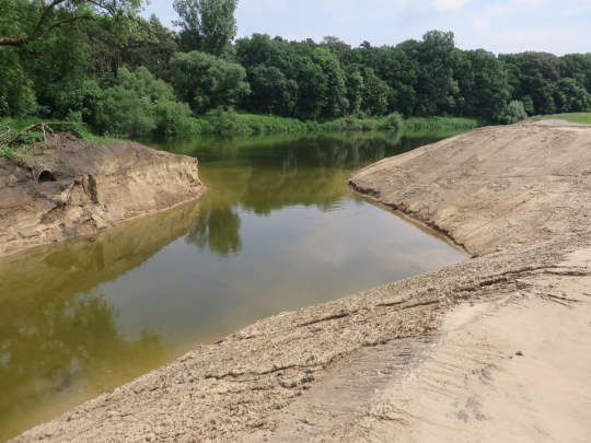 Umflut, Flachwasserbereich und Eisvogel-Abbruchkante